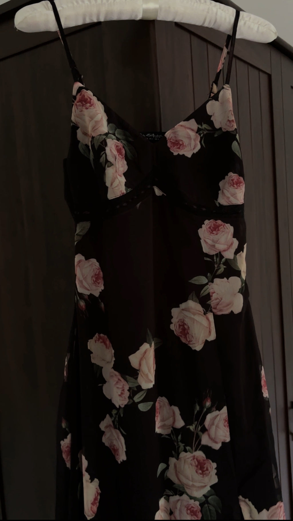 ୧ ‧₊˚ dahlia