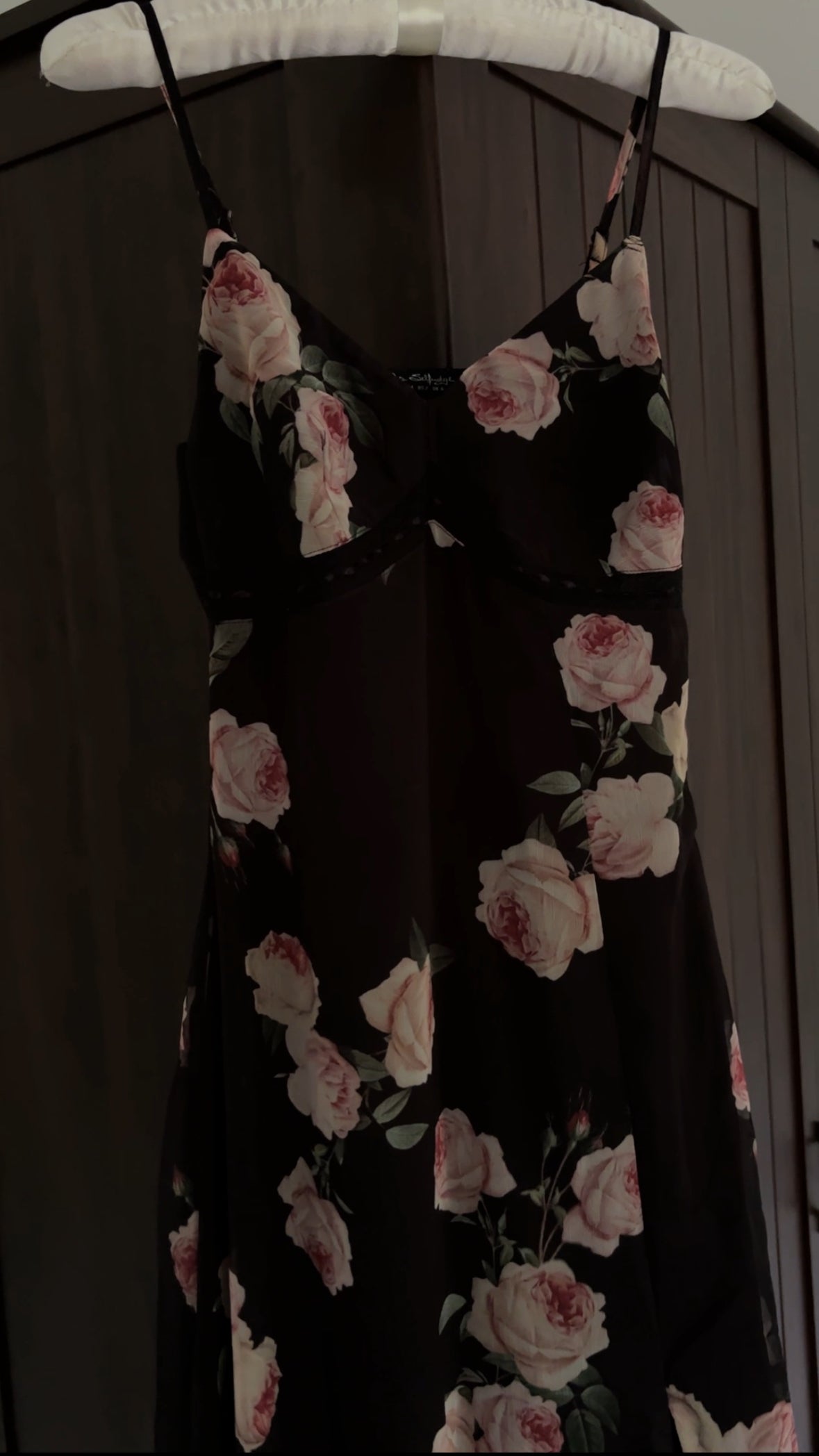 ୧ ‧₊˚ dahlia